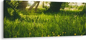 Tablou cu natura - lunca (120x50 cm)