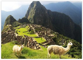 Tablou pe sticlă - Machu Picchu (70x50 cm)