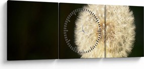 Tablou cu păpădie gri (cu ceas) (90x30 cm)