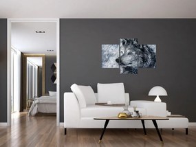 Tablou - Lupul din desene animate (90x60 cm)