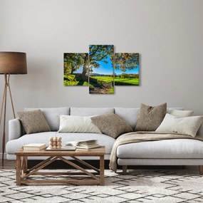 Tablou Privire la câmp (90x60 cm)
