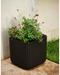 Ghiveci din plastic Cube – Keter