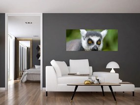 Tablou cu lemur (120x50 cm)