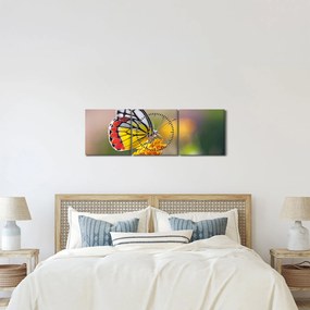 Tablou - Fluture pe floare (cu ceas) (90x30 cm)