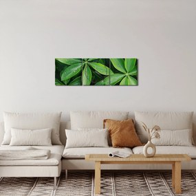 Tablou - Frunze cu picături de rouă (cu ceas) (90x30 cm)