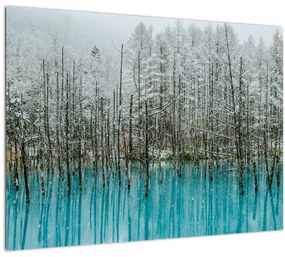 Tablou pe sticlă - Pescărie turcoaz, Biei, Japonia (70x50 cm)