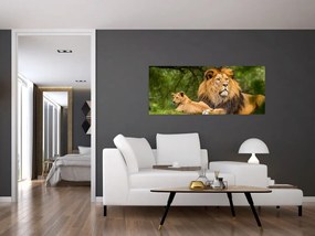 Tablou cu lei (120x50 cm)
