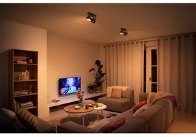 Spot LED dimabil BUKKO 2xLED/4,5W/230V Philips 50602/30/P0