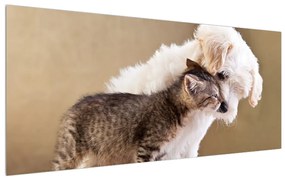 Tablou câinele cu pisica (120x50 cm), în 40 de alte dimensiuni noi
