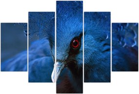 Tablou - Porumbel încoronat (150x105 cm)