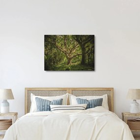 Tablou cu copaci (70x50 cm)