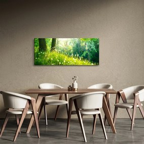 Tablou - Pajiște magică plină de păpădii (120x50 cm)