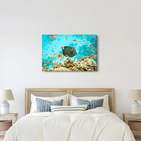 Tablou lumii submarine (90x60 cm)