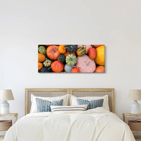 Tablou - Dovleac (120x50 cm)