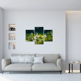 Tablou - Iarbă (90x60 cm)