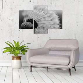 Tablou cu păpădie - albnegru (90x60 cm)