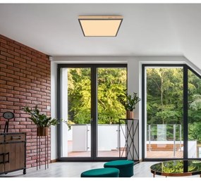 Plafonieră LED DORO LED/24W/230V Globo 416080WD2