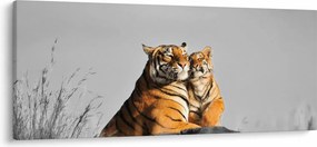 Tablou - Tigroaica cu pui, versiunea alb-negru (120x50 cm)