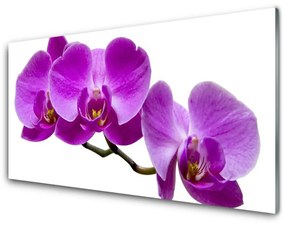 Tablou pe sticla Flori Floral Violet Maro