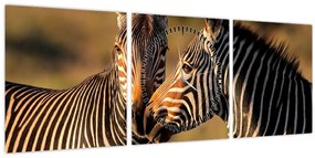 Tablou - Două zebre (cu ceas) (90x30 cm)