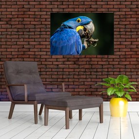 Tablou cu papagal (90x60 cm)