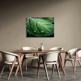 Tablou pe sticlă - Detaliu de frunze după ploaie (70x50 cm)