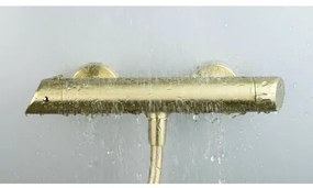 Baterie dus dubla comanda auriu periat Deante Arnika fara set de dus