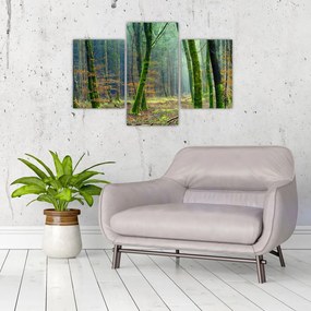 Tablou cu pădure (90x60 cm)