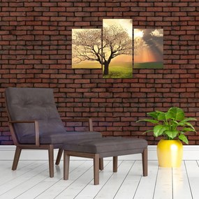 Tablou cu copac pe luncă (90x60 cm)