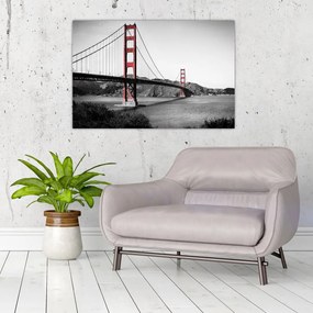 Tablou cu pod (90x60 cm)