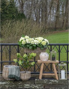 Felinare decorative Corfu, metal/vidră, verde, set de 2