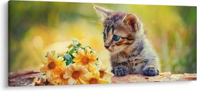 Tablou cu pisicuța uitându-se la floare (120x50 cm)