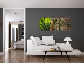 Tablou - Veverița (120x50 cm)