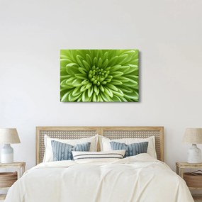 Tablou - Imagine macro a unei plante (90x60 cm)