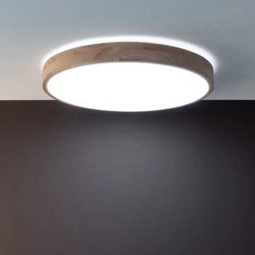 Brilliant - Plafonieră LED dimerizabilă SLIMLINE LED/60W/230V + telecomandă