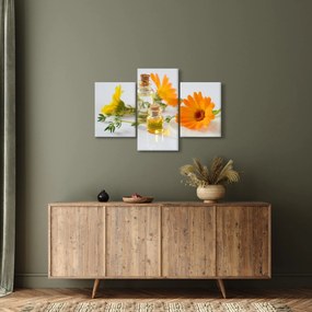 Tablou cu flori portocalii (90x60 cm)