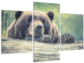 Tablou cu urs (90x60 cm)