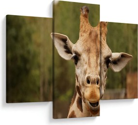 Tablou girafe (90x60 cm)