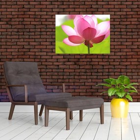 Tablou cu flori de lotus (70x50 cm)