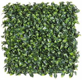 Panou verde artificial, Privet Green, Bizzotto, 50x50 cm