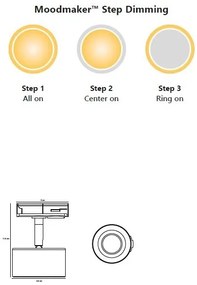 Accesoriu, Spot LED directionabil Clyde negru, pentru sina Nordlux Link