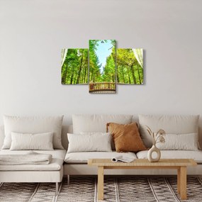 Tablou - Privire spre pădure (90x60 cm)