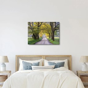 Tablou - Smoky Mountains, Gatlinburg, SUA (70x50 cm)