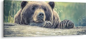 Tablou cu urs (120x50 cm)