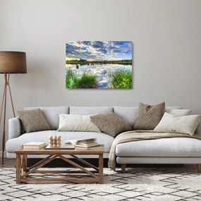 Tablou pe sticlă cu lac și trestie (70x50 cm)