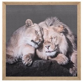 Tablou canvas Lions, 58x58 cm