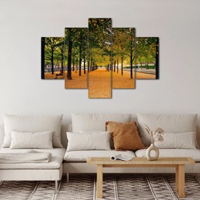 Tablou cu alee cu copaci în toamnă (150x105 cm)