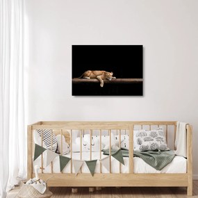 Tablou pe sticlă - Lioness (70x50 cm)