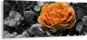 Tablou cu floare (120x50 cm)