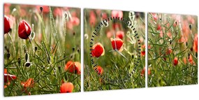 Tablou cu maci (cu ceas) (90x30 cm)